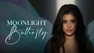 Moonlight Butterfly