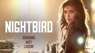 nightbird